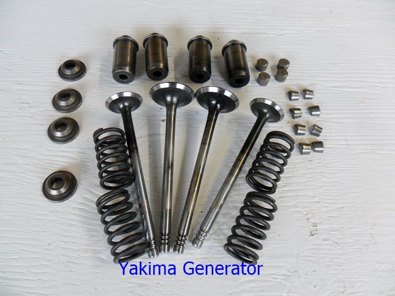 Onan Performer Valve set with Guides Used Yakima Generator