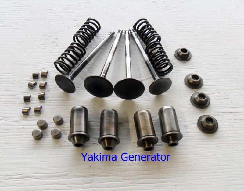 Onan Performer Valve set with Guides Used Yakima Generator