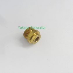 check valve cap screw 97841
